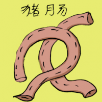 猪肠 pork intestines