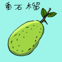 番石榴 guava