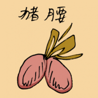 猪腰 pork kidney