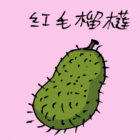 红毛榴莲 soursop