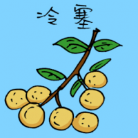冷塞 langsat