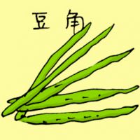 豆角 long bean