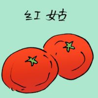 红姑 tomato