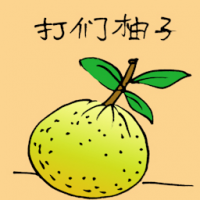 打们柚子 pomelo