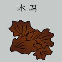 木耳 fungus