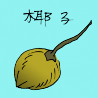 椰子 green coconut