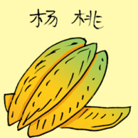 杨桃 star fruit