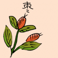 枣 dates