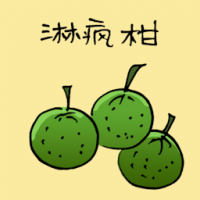 麻疯柑,泰國柑 chinese lime