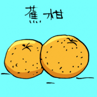 蕉柑 mandarin orange