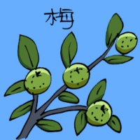 梅 plum flower