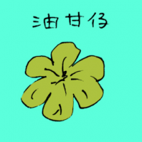 油甘仔 indian gooseberry