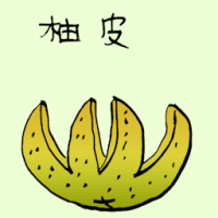 柚皮 pomelo peel