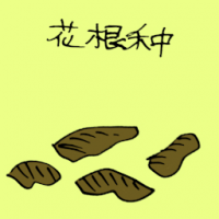 花根种 plant seed