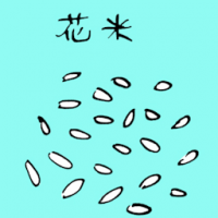 花米 flower seeds