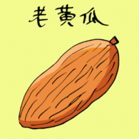 老黄瓜 yellow cucumber