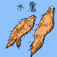 木薯 tapioca