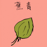 芜菁 green banana