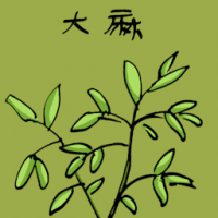 大麻 marijuana