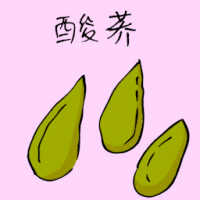 酸荞 sour buckwheat