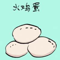 火鸡蛋 turkey egg