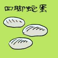四脚蛇蛋 lizard egg