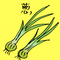葱 green onion