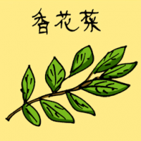 香花菜 baby breath