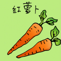 红罗卜 carrot