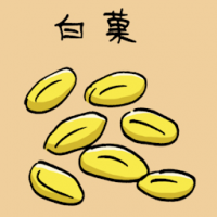 白果 gingko nut