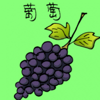 葡萄 grape