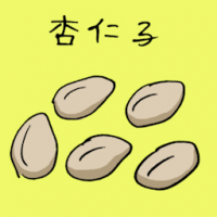 杏仁子 almond seed