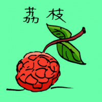 荔枝 lychee