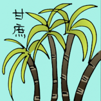 甘蔗 sugar cane