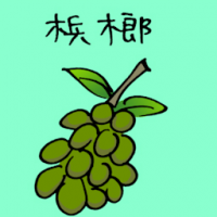 槟榔 betel balm