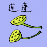 莲蓬 lotus seedpod