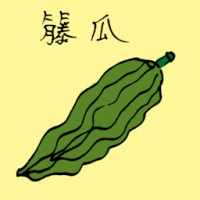 藤瓜 melon vine