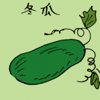 冬瓜 winter melon
