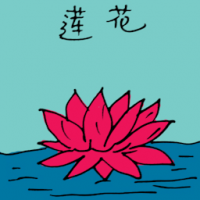 莲花 lotus flower