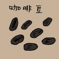 咖啡豆 coffee bean