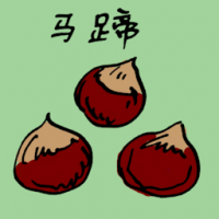 马蹄 water chestnut