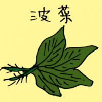 菠菜 spinach