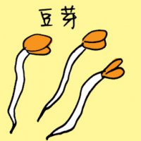 豆芽 bean sprouts