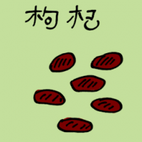 枸杞 wolfberry