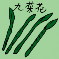 九菜花 chives flower