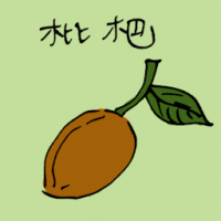 枇杷 loquat