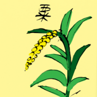 粟 millet