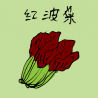 红菠菜 red spinach