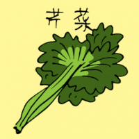 芹菜 celery