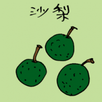 沙梨 asian pear